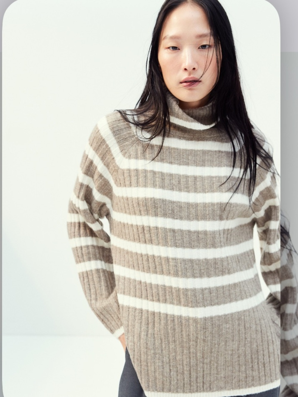 H&M Striped Turtleneck Sweater in Beige and White
